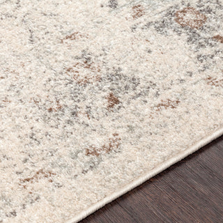 Surya Chelsea CSA-2321 Area Rug Detail