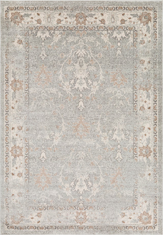 Surya Chelsea CSA-2322 Medium Gray Dark Brown Camel Charcoal White Area Rug Mirror main image