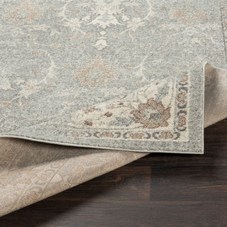 Surya Chelsea CSA-2322 Area Rug  Feature