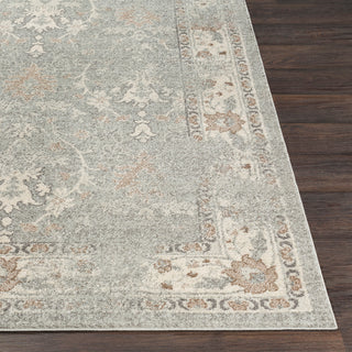 Surya Chelsea CSA-2322 Area Rug 