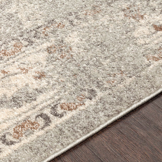 Surya Chelsea CSA-2322 Area Rug Detail