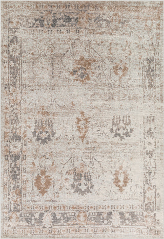 Surya Chelsea CSA-2323 Medium Gray Charcoal Dark Brown Camel White Area Rug Mirror main image