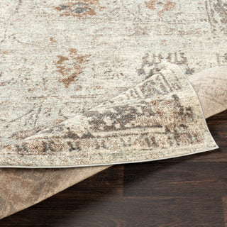 Surya Chelsea CSA-2323 Area Rug 