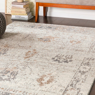 Surya Chelsea CSA-2323 Area Rug Room Scene Feature