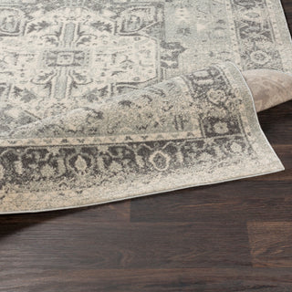 Surya Chelsea CSA-2324 Area Rug 