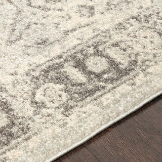 Surya Chelsea CSA-2324 Area Rug Detail