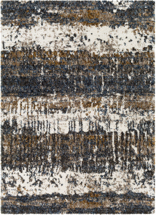 Surya Celestial Shag CSG-2302 Area Rug main image