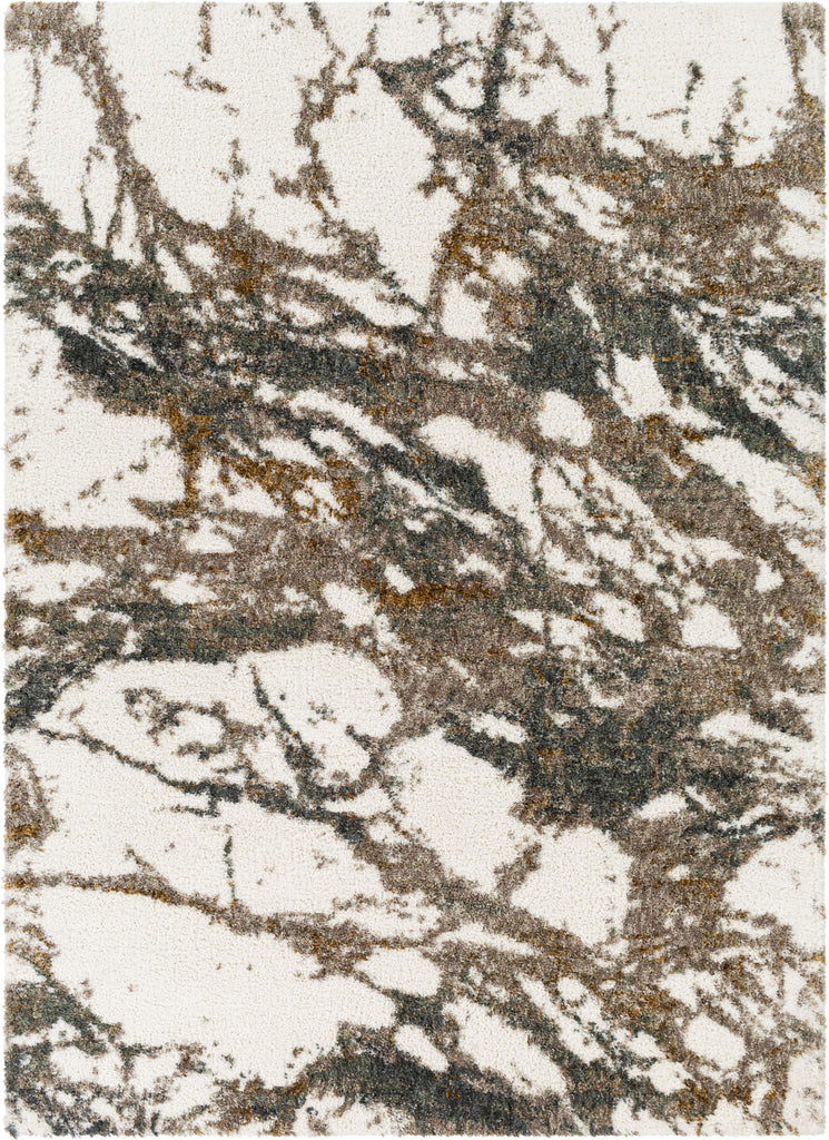 Surya Celestial Shag CSG-2303 Area Rug Main Image 5'3"x7'