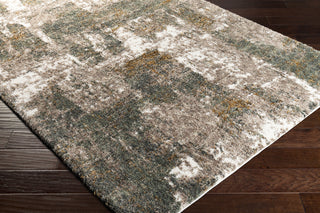 Surya Celestial Shag CSG-2306 Area Rug Corner Shot