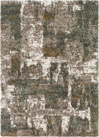 Surya Celestial Shag CSG-2306 Area Rug main image