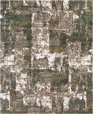 Surya Celestial Shag CSG-2306 Area Rug 