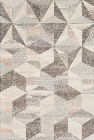 Surya Cassini CSI-1001 Cream Taupe Medium Gray Dark Brown Camel Area Rug main image