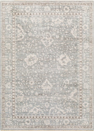 Surya Carlisle CSI-2309 Area Rug main image