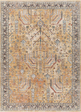 Surya Carlisle CSI-2316 Area Rug main image