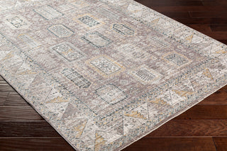 Surya Carlisle CSI-2318 Area Rug Corner Shot