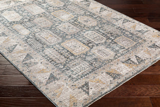 Surya Carlisle CSI-2319 Area Rug main image