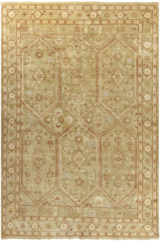 Surya Castle CSL-6001 Olive Area Rug 