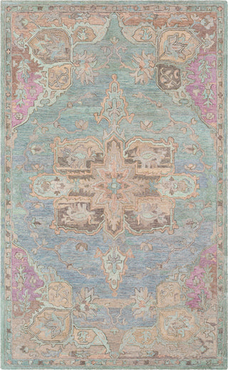 Surya Classic Nouveau CSN-1010 Aqua Taupe Grass Green Khaki Dark Brown Mauve Bright Purple Tan Camel Area Rug main image