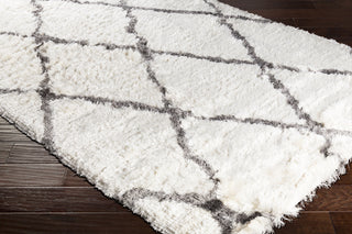 Surya Corsair CSR-1000 Cream Light Gray Area Rug Corner Image