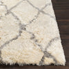 Surya Corsair CSR-1000 Cream Light Gray Area Rug Detail Image