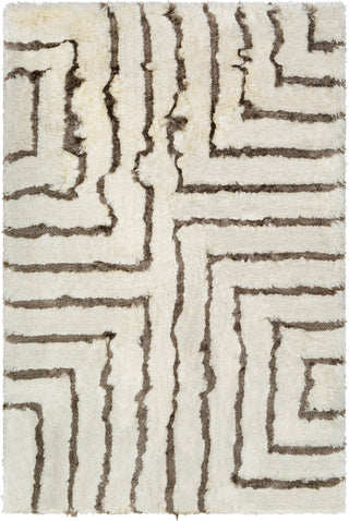 Surya Corsair CSR-1001 Cream Charcoal Area Rug main image