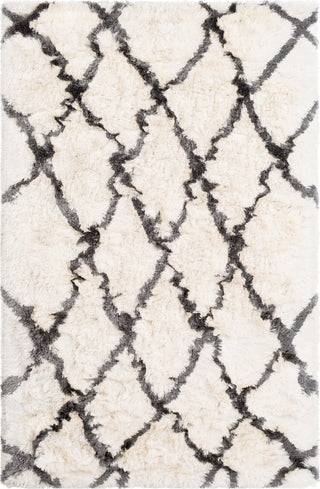 Surya Corsair CSR-1002 Cream Charcoal Area Rug main image