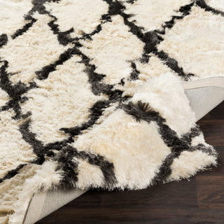 Surya Corsair CSR-1002 Cream Charcoal Area Rug Pile Image