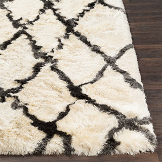 Surya Corsair CSR-1002 Cream Charcoal Area Rug Detail Image