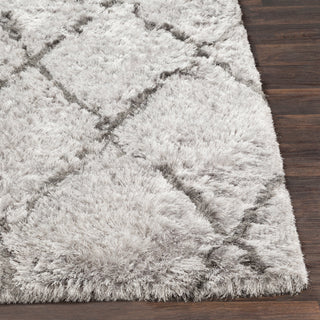 Surya Corsair CSR-1003 Light Gray Charcoal Area Rug Detail Image