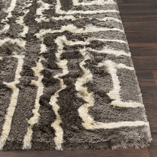 Surya Corsair CSR-1005 Medium Gray Cream Area Rug Detail Image