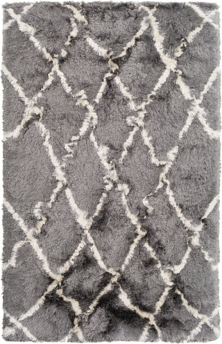 Surya Corsair CSR-1006 Medium Gray Cream Area Rug main image