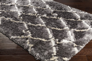 Surya Corsair CSR-1006 Medium Gray Cream Area Rug Corner Image