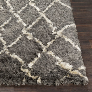 Surya Corsair CSR-1006 Medium Gray Cream Area Rug Detail Image