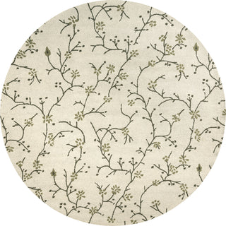 Rizzy Country CT1634 Area Rug