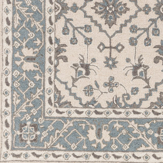 Surya Castille CTL-2002 Khaki Hand Tufted Area Rug Sample Swatch