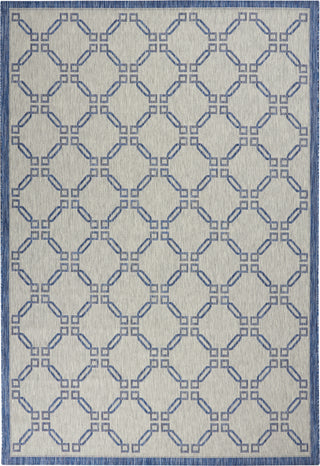 Nourison Country Side CTR02 Ivory Blue Area Rug