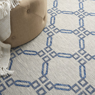 Nourison Country Side CTR02 Ivory Blue Area Rug