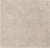 Surya Cotswald CTS-5004 Beige Area Rug Sample Swatch
