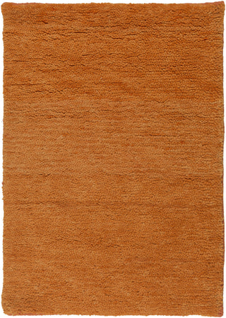 Surya Cotswald CTS-5006 Burnt Orange Area Rug 2' x 3'