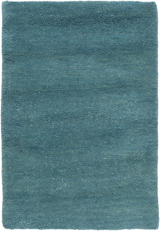 Surya Cotswald CTS-5008 Teal Area Rug 2' x 3'