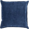 Surya Cotton Velvet Ava Grace CV-016 Pillow 20 X 20 X 5 Down filled
