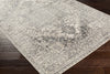 Livabliss City Light CYL-2313 Area Rug