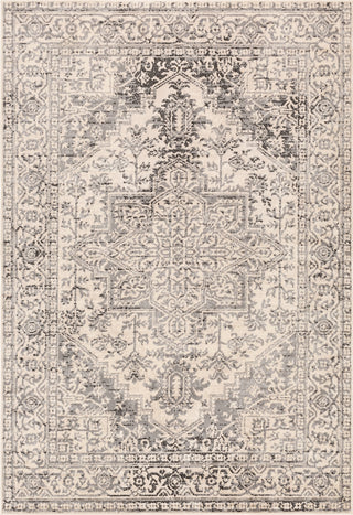 Surya City light CYL-2313 Area Rug main image