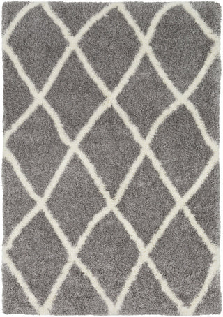 Surya Cloudy Shag CYS-3400 Area Rug main image