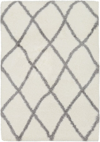 Surya Cloudy Shag CYS-3401 Area Rug main image