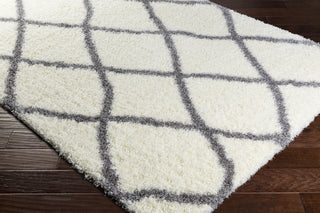 Surya Cloudy Shag CYS-3401 Area Rug Corner Image