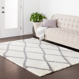 Surya Cloudy Shag CYS-3401 Area Rug Room Image Feature