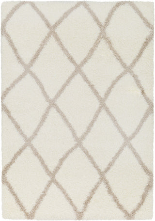 Surya Cloudy Shag CYS-3402 Area Rug main image