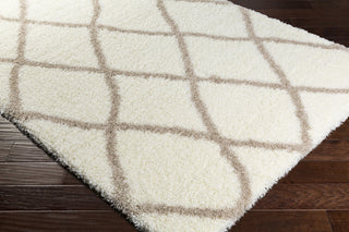 Surya Cloudy Shag CYS-3402 Area Rug Corner Image