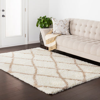 Surya Cloudy Shag CYS-3402 Area Rug Room Image Feature